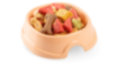 Adidas Running Shoes